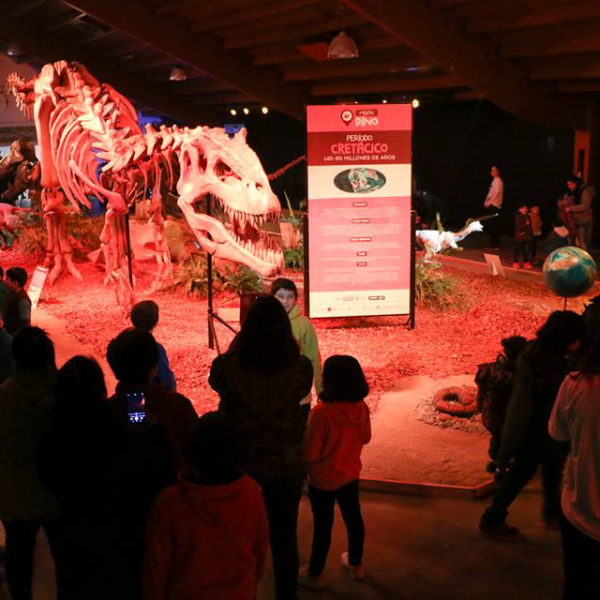 Misión Dino - COPADE