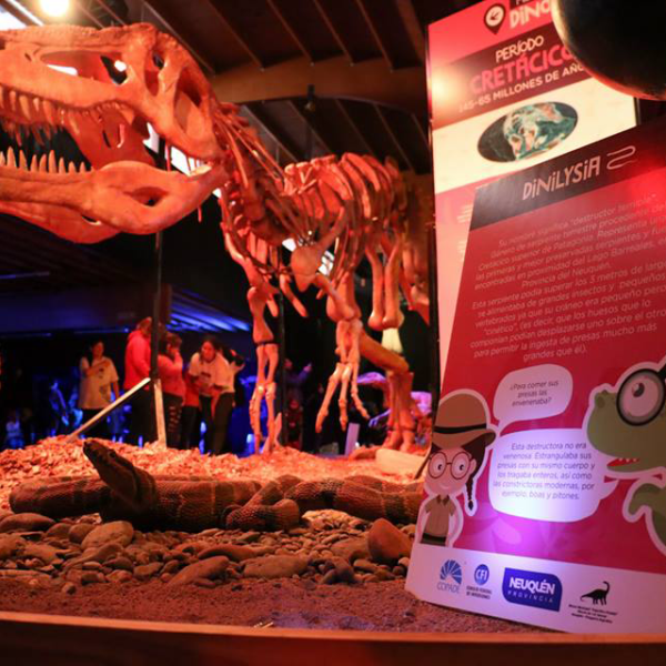 Misión Dino - COPADE