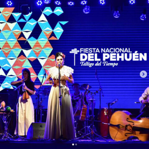 Fiesta Nacional del Pehuén