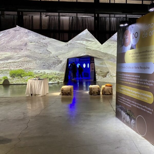 Origen Neuquén